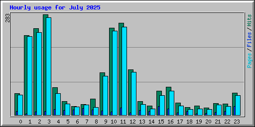 Hourly usage for July 2025